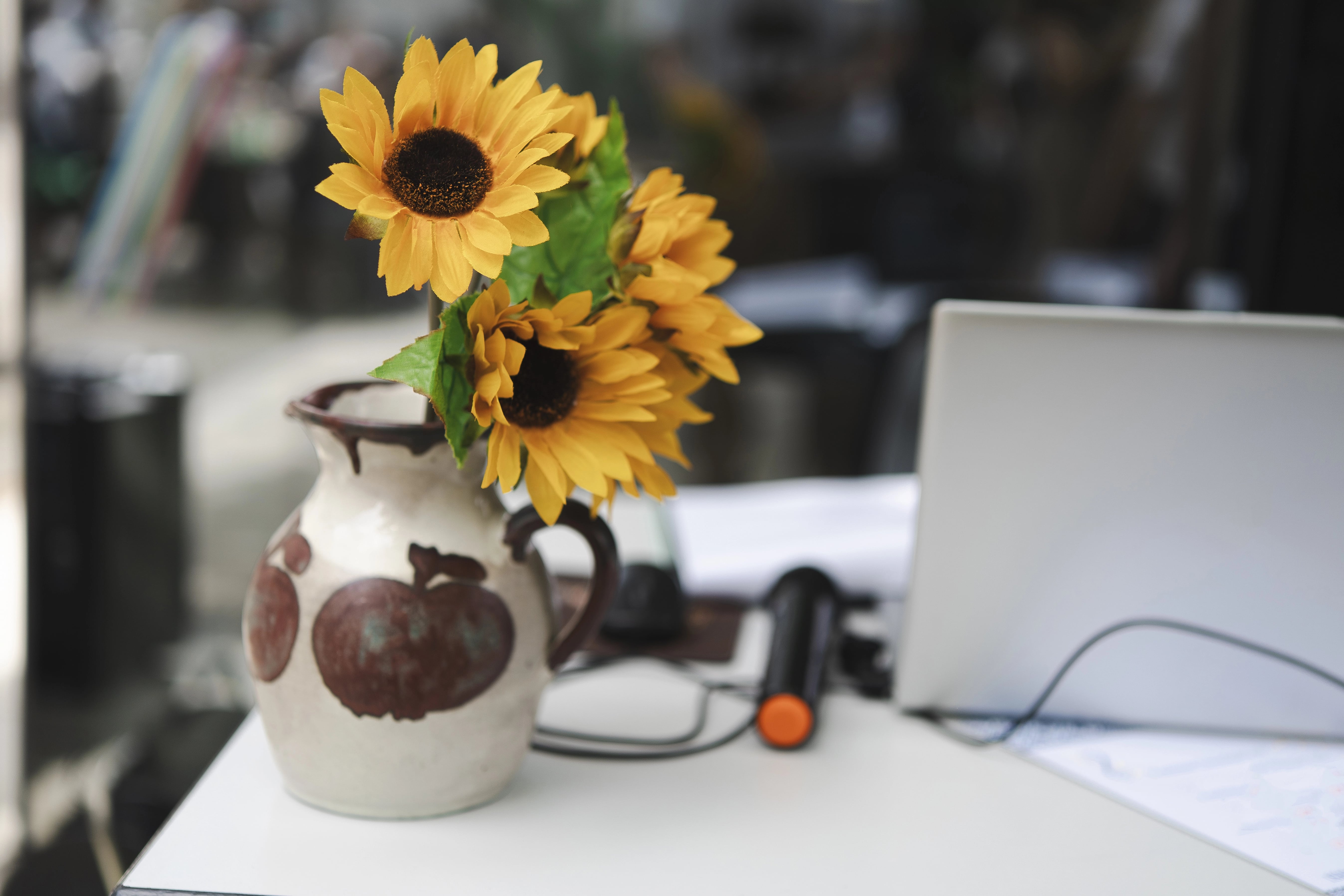 Home Office Oasis: Flowers & Plants to Boost Productivity and Focus