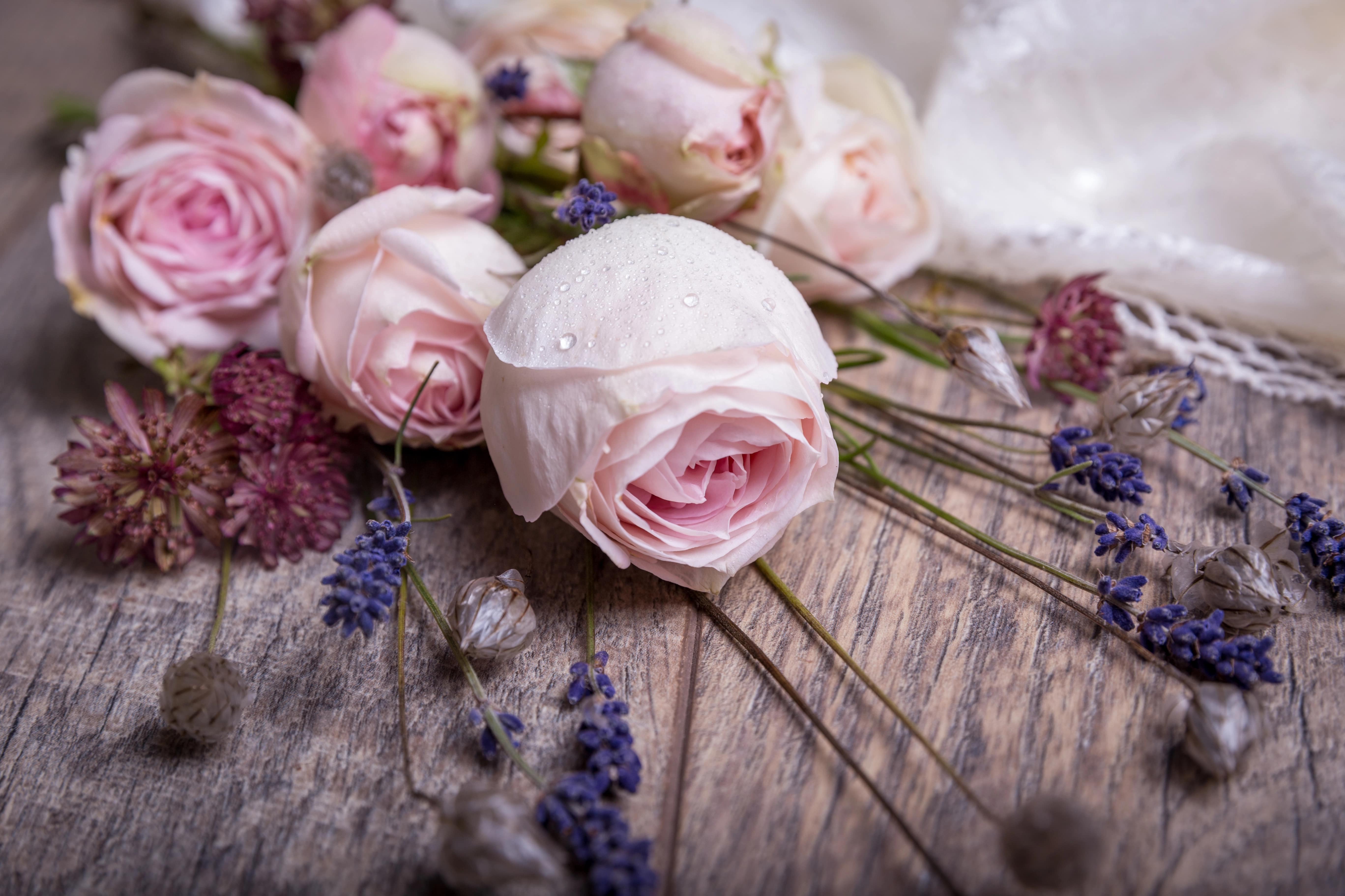 Healing Flowers: The Role of Blooms in Natural Remedies