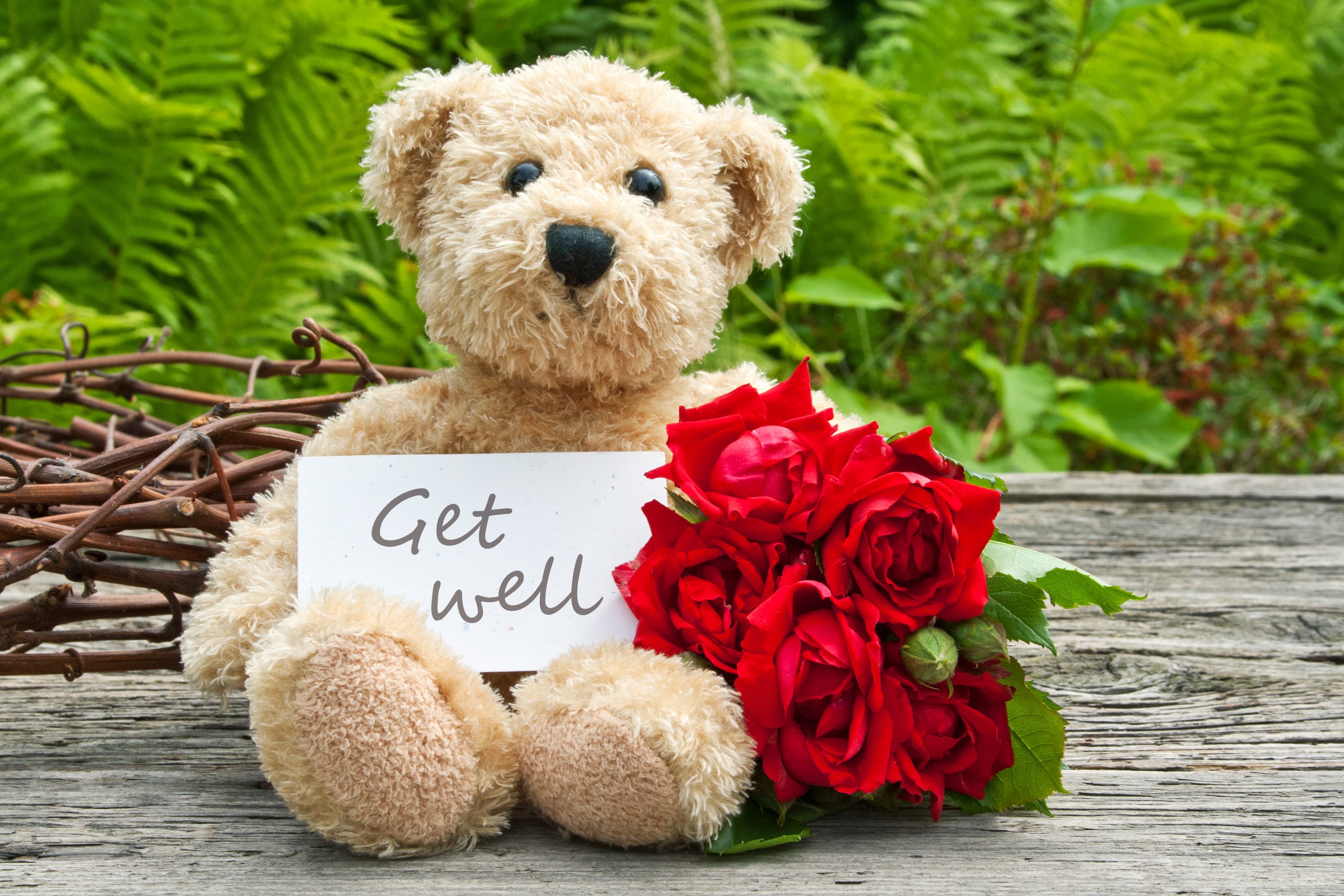 How to Choose the Ideal Get Well Soon Flowers 