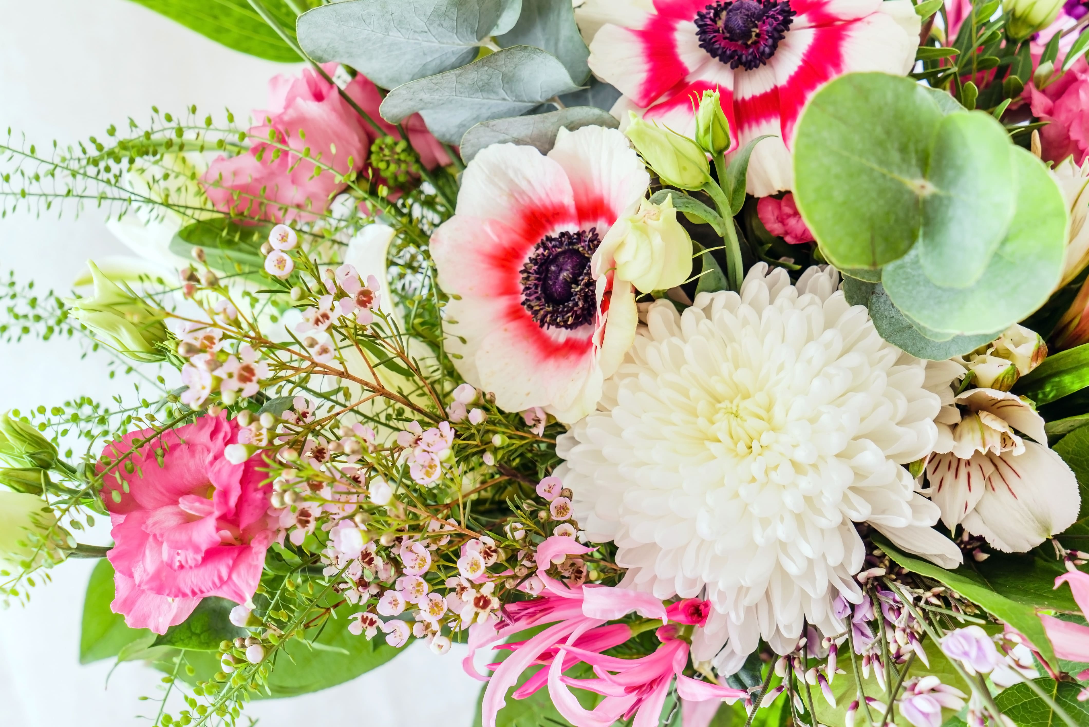 The Importance of Flowers in Wellness and Mental Health