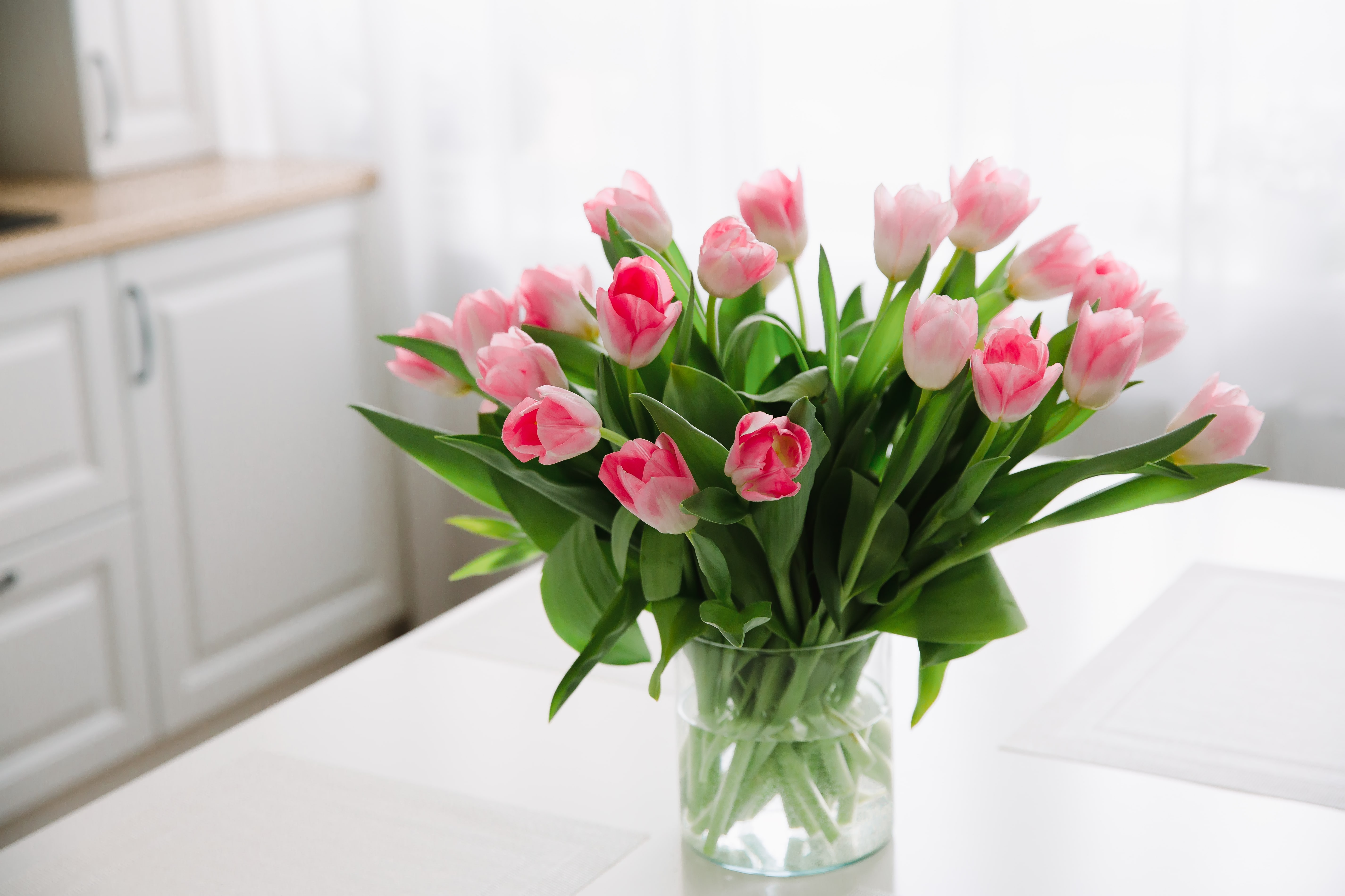 Flower Subscriptions Enjoy Fresh Blooms All Year Round » Rockcastle