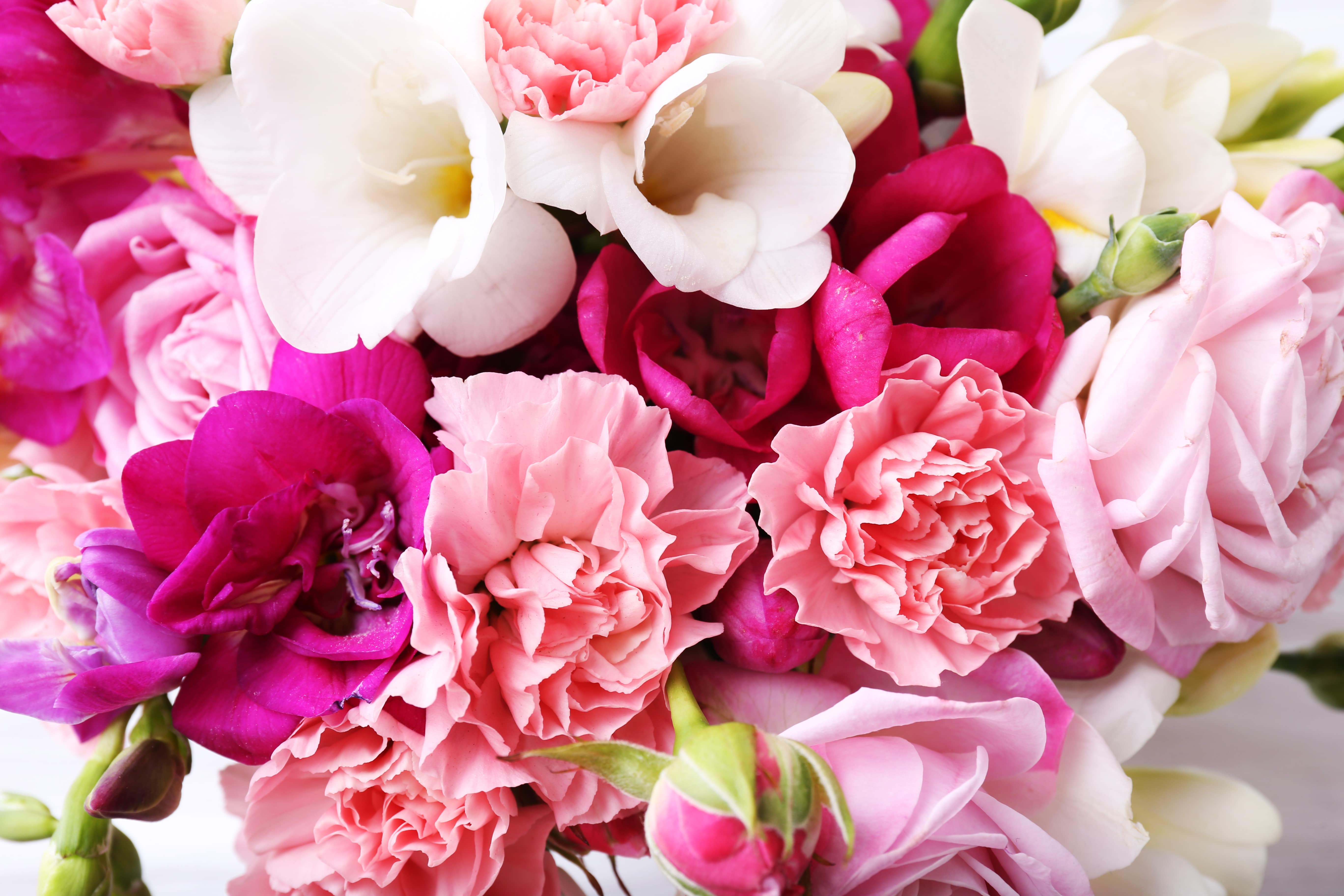 Seasonal Flowers: What to Expect in Your Florist's Selection Throughout the Year