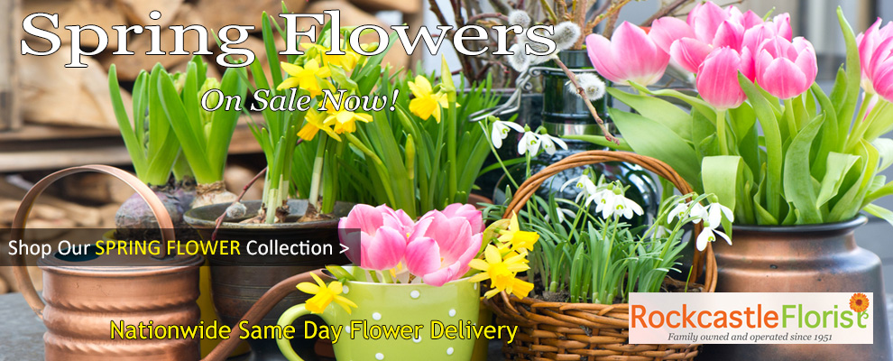 Florist Rochester, NY | Flowers Rochester NY - Rockcastle Florist