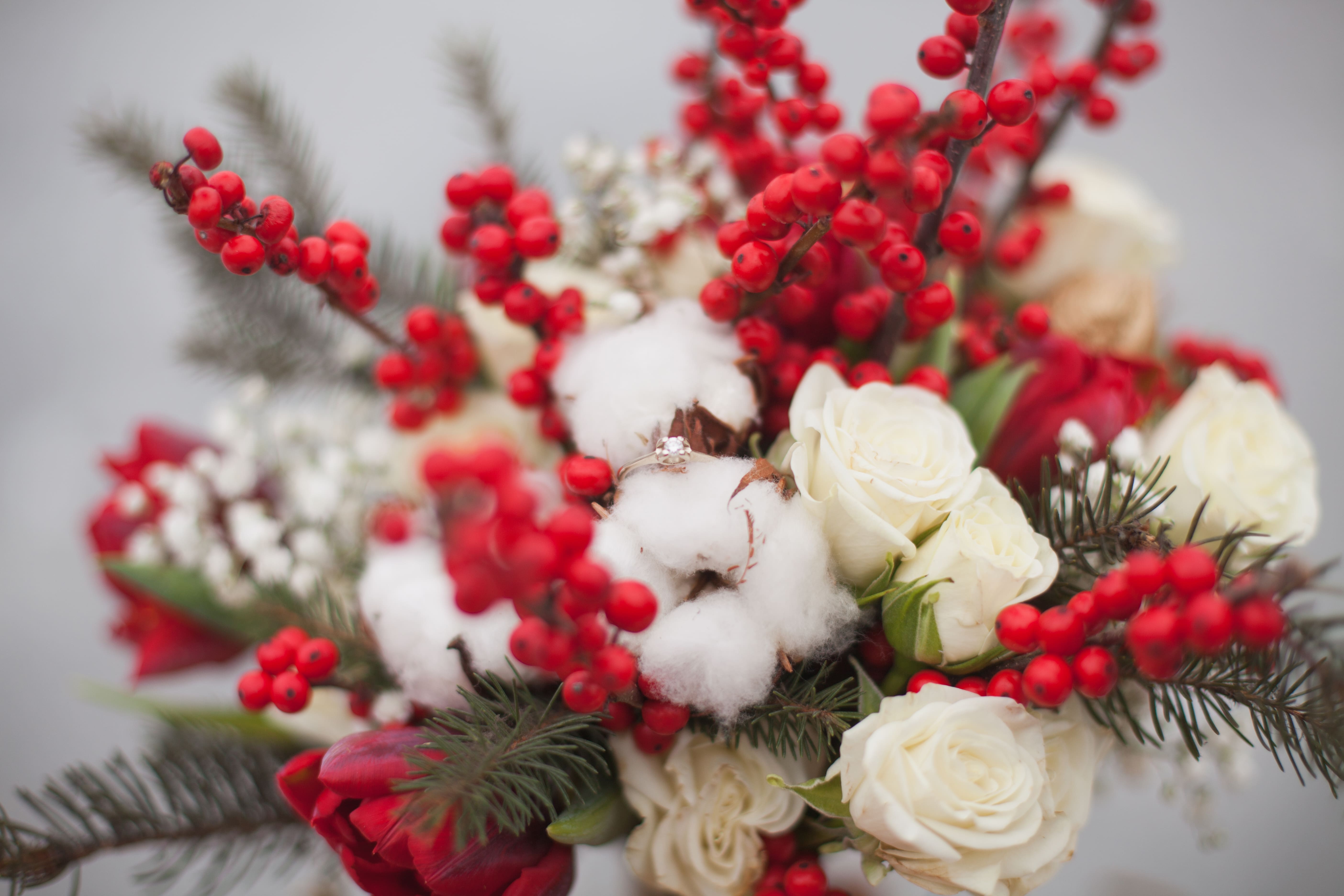 Winter Flowers: Brighten Your Home During the Colder Months