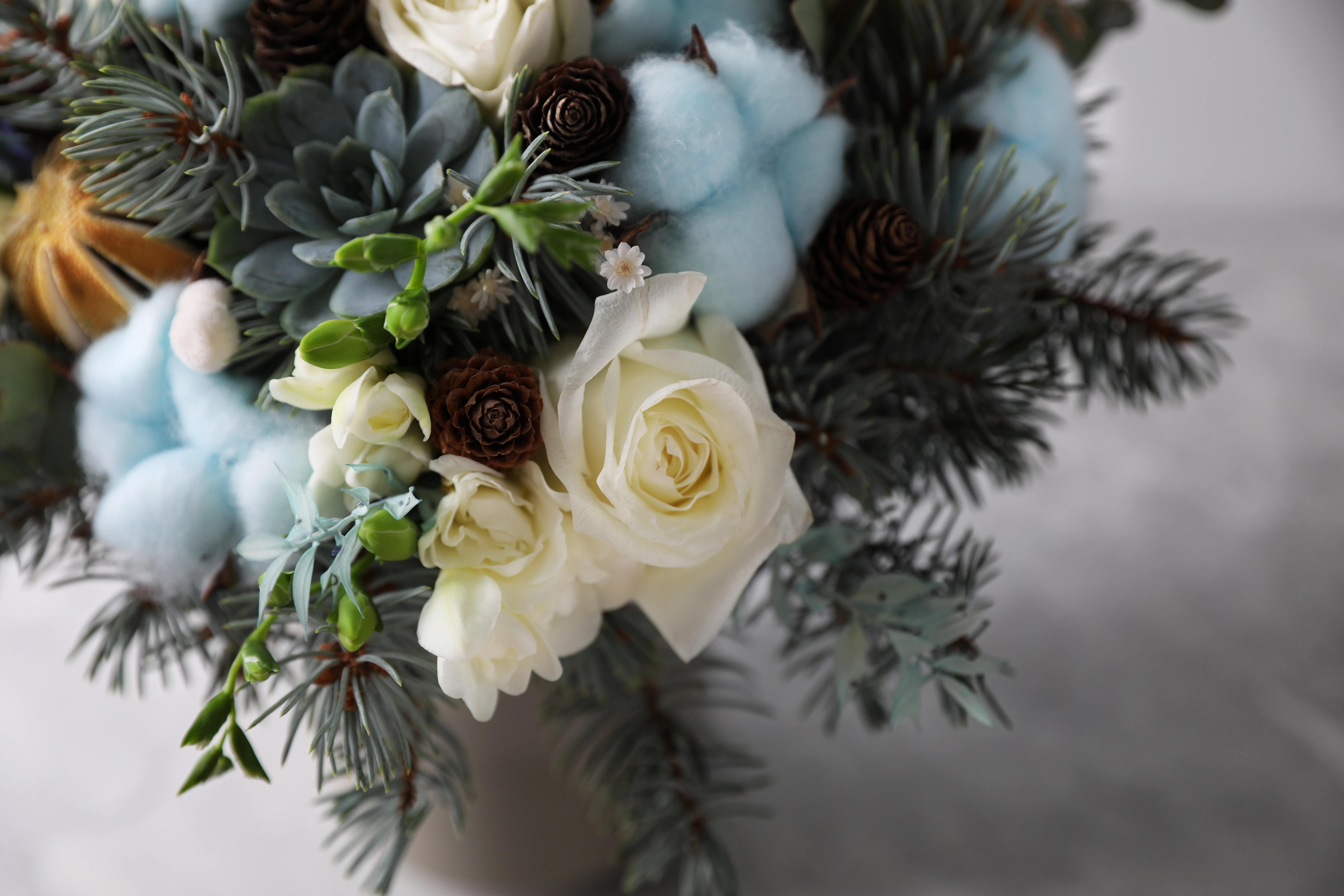 Winter Blooms: Elegant Flowers That Shine in the Cool Season