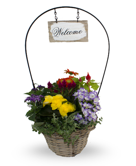 Mother S Day Plants Outdoor Welcome Planter Premium Rochester Ny Outdoor Welcome Planter Premium Same Day Delivery