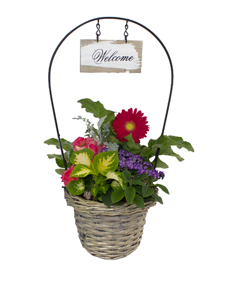 Mother S Day Plants Outdoor Welcome Planter Rochester Ny Mother S Day Plants Outdoor Welcome Planter Rochester Ny